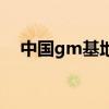 中国gm基地（关于中国gm基地的介绍）