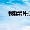 我就爱外挂（关于我就爱外挂的介绍）
