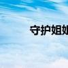 守护姐姐（关于守护姐姐的介绍）