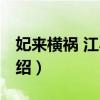 妃来横祸 江小湖（关于妃来横祸 江小湖的介绍）