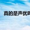 真的是声优吗（关于真的是声优吗的介绍）