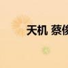 天机 蔡俊（关于天机 蔡俊的介绍）