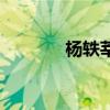 杨轶莘（关于杨轶莘的介绍）