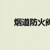 烟道防火阀（关于烟道防火阀的介绍）