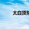 太白顶芽（关于太白顶芽的介绍）