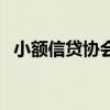 小额信贷协会（关于小额信贷协会的介绍）