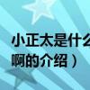 小正太是什么意思啊（关于小正太是什么意思啊的介绍）