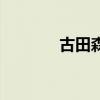古田森（关于古田森的介绍）