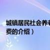 城镇居民社会养老保险缴费（关于城镇居民社会养老保险缴费的介绍）