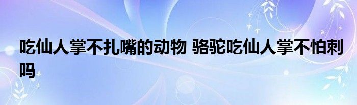 吃仙人掌不扎嘴的动物 骆驼吃仙人掌不怕刺吗