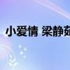 小爱情 梁静茹（关于小爱情 梁静茹的介绍）