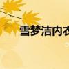 雪梦洁内衣（关于雪梦洁内衣的介绍）