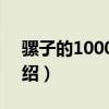 骡子的10000米（关于骡子的10000米的介绍）