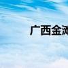 广西金滩（关于广西金滩的介绍）