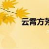 云霄方芳（关于云霄方芳的介绍）