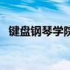键盘钢琴学院（关于键盘钢琴学院的介绍）