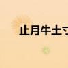 止月牛土寸（关于止月牛土寸的介绍）