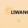 LIWANG（关于LIWANG的介绍）