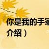 你是我的手冢国光（关于你是我的手冢国光的介绍）