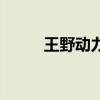王野动力（关于王野动力的介绍）
