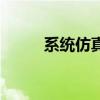 系统仿真（关于系统仿真的介绍）