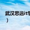 武汉思远it学院（关于武汉思远it学院的介绍）