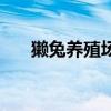 獭兔养殖场（关于獭兔养殖场的介绍）