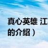 真心英雄 江苏卫视（关于真心英雄 江苏卫视的介绍）