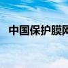 中国保护膜网（关于中国保护膜网的介绍）