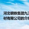 河北钢铁集团九江线材有限公司（关于河北钢铁集团九江线材有限公司的介绍）