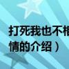 打死我也不相信爱情（关于打死我也不相信爱情的介绍）