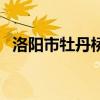 洛阳市牡丹桥（关于洛阳市牡丹桥的介绍）