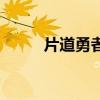 片道勇者（关于片道勇者的介绍）