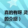 真的有呀 灵媒先生（关于真的有呀 灵媒先生的介绍）