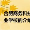 合肥商务科技职业学校（关于合肥商务科技职业学校的介绍）