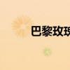 巴黎玫瑰（关于巴黎玫瑰的介绍）