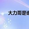 大力哥是谁（关于大力哥是谁的介绍）