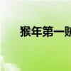 猴年第一贼（关于猴年第一贼的介绍）