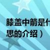 膝盖中箭是什么意思（关于膝盖中箭是什么意思的介绍）