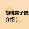 胡桃夹子夜未眠2（关于胡桃夹子夜未眠2的介绍）
