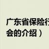 广东省保险行业协会（关于广东省保险行业协会的介绍）