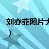 刘亦菲图片大全(关于刘亦菲图片大全的介绍) 刘亦菲图片大全(关于刘亦菲图片大全的介绍)