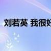 刘若英 我很好（关于刘若英 我很好的介绍）