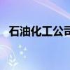 石油化工公司（关于石油化工公司的介绍）