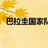 巴拉圭国家队（关于巴拉圭国家队的介绍）