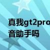 真我gt2pro有语音唤醒吗 真我GT2pro有语音助手吗 