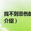 找不到悲伤的方向（关于找不到悲伤的方向的介绍）