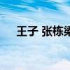 王子 张栋梁（关于王子 张栋梁的介绍）