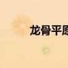 龙骨平原（关于龙骨平原的介绍）