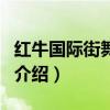 红牛国际街舞大赛（关于红牛国际街舞大赛的介绍）